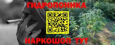 крисы Северобайкальск