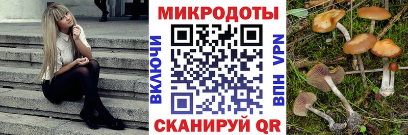 как найти закладки  Салават  Галлюциногенные грибы Psilocybe 