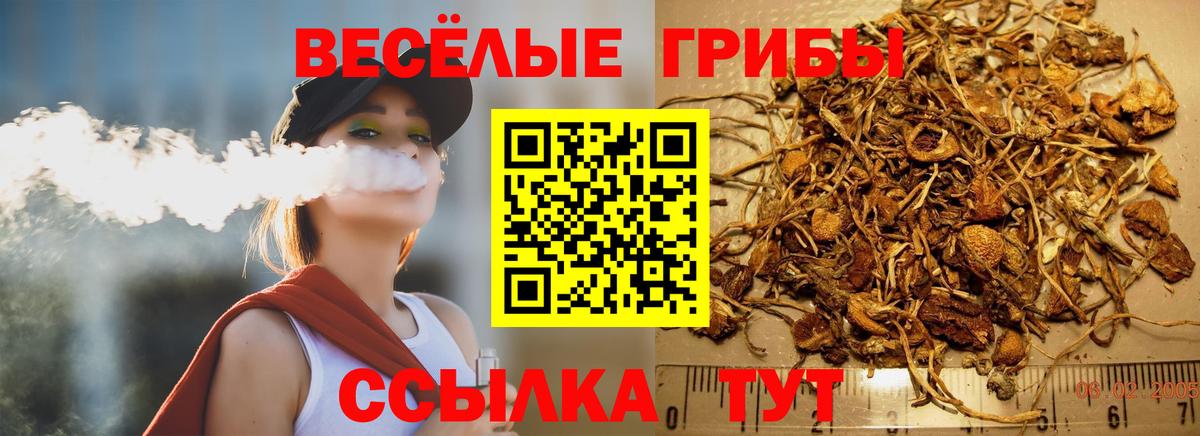 Салават  Псилоцибиновые грибы мухоморы  Вход с VPN 